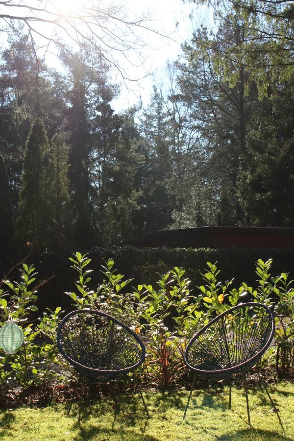 Sfeervol Vakantiehuisje In Bosrijke Omgeving Vorden Exterior foto