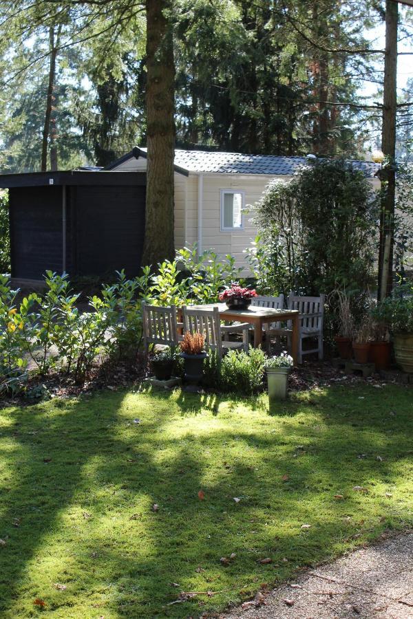 Sfeervol Vakantiehuisje In Bosrijke Omgeving Vorden Exterior foto