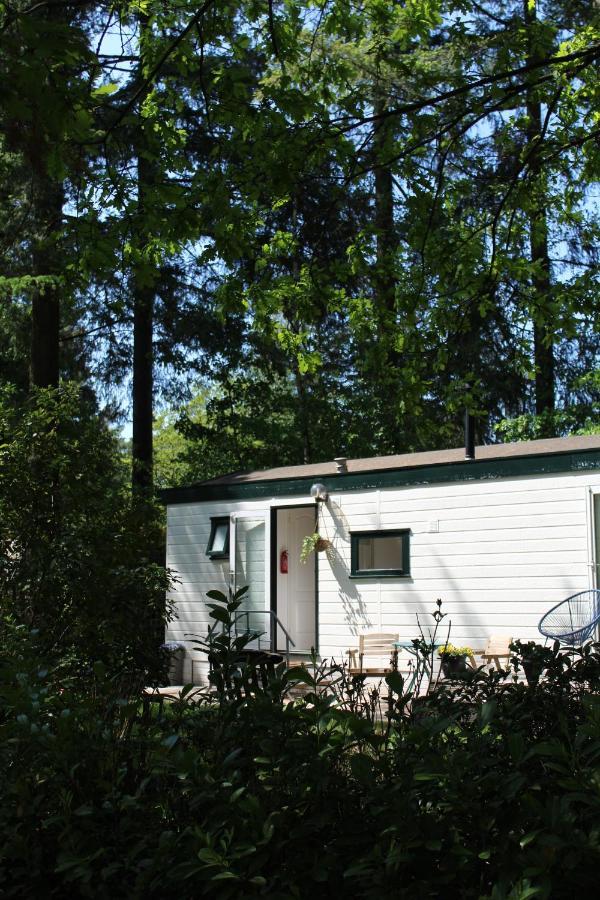 Sfeervol Vakantiehuisje In Bosrijke Omgeving Vorden Exterior foto